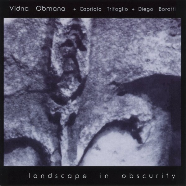 Landscape in Obscurity